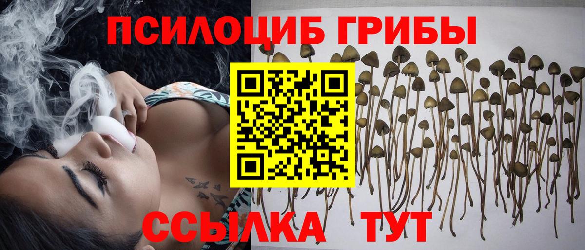 Псилоцибиновые грибы GOLDEN TEACHER Гусь-Хрустальный