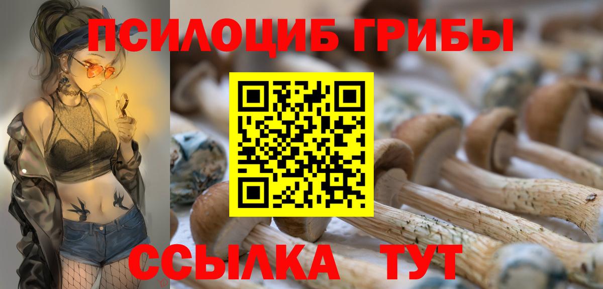 Галлюциногенные грибы Psilocybe  Псилоцибиновые грибы Psilocybe  Вход с VPN  Гусь-Хрустальный 